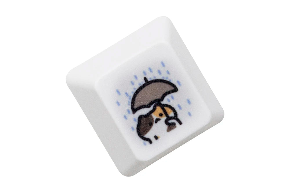 S4e87ade3fc574c98a75edbc04246e1588