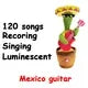 1pc-Dancing Talking Cactus Toys for Baby Boys and Girls, Singing Mimicking Recording Repeating What You Say Voice Changer