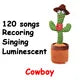 1pc-Dancing Talking Cactus Toys for Baby Boys and Girls, Singing Mimicking Recording Repeating What You Say Voice Changer
