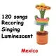 1pc-Dancing Talking Cactus Toys for Baby Boys and Girls, Singing Mimicking Recording Repeating What You Say Voice Changer