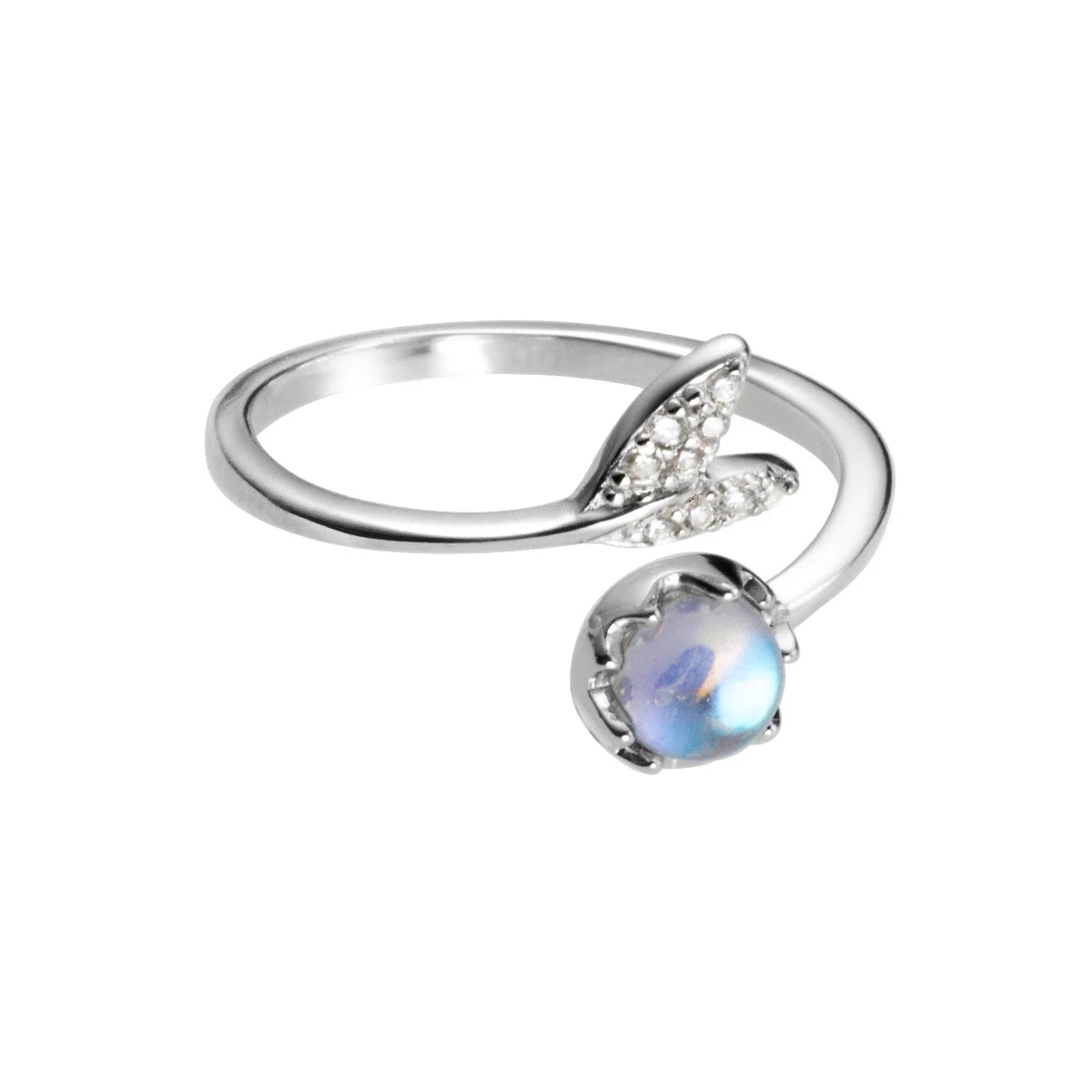 S099bc0959d3049ec898d749cc8b6c105i