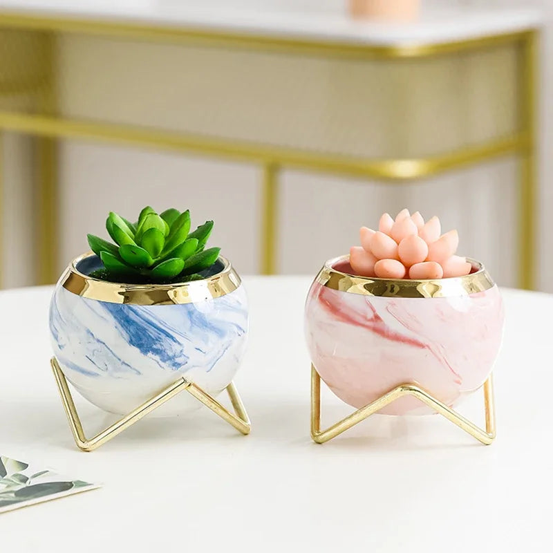 S15f36f42137243abb2de6f8ae8d67749L