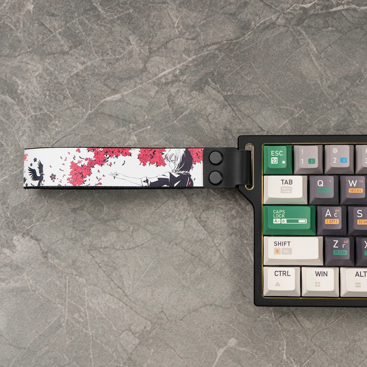 S8f3a70231a0d4cf1b9b0786067d1bb24b