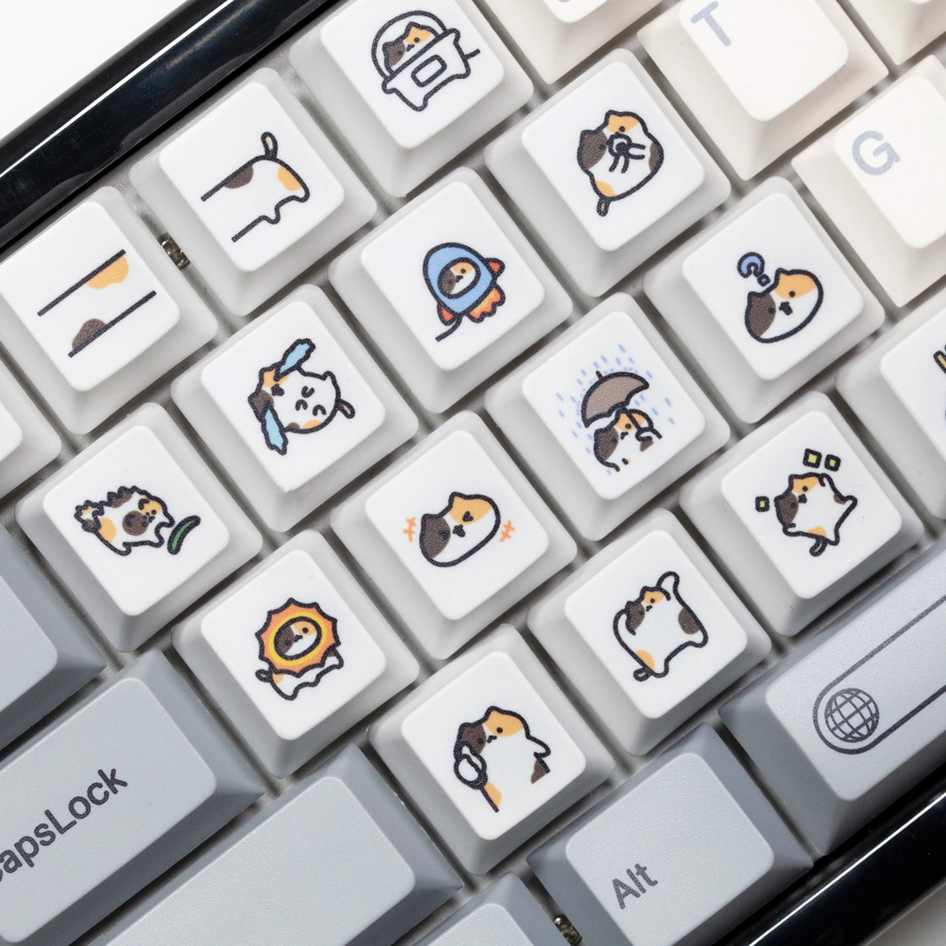 Sb46ff96e6a3e4021950a008ce25332a0m