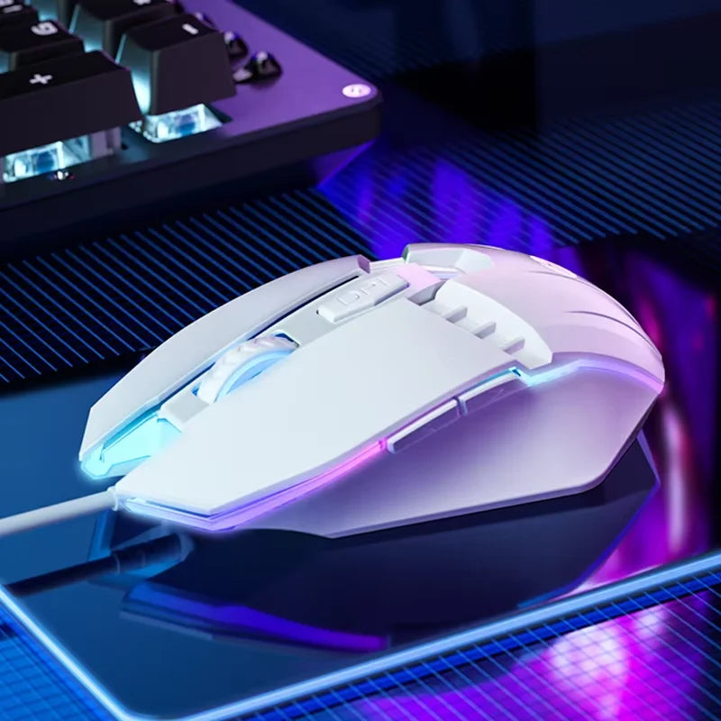 Sc91e2cdbe5654b68acc2414ab40385a9T