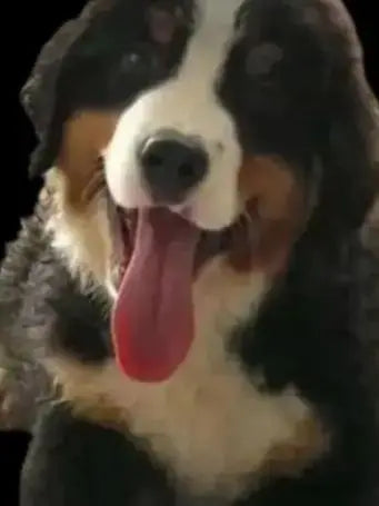 Sf1e879baa7fd44898f1c166997147a13j